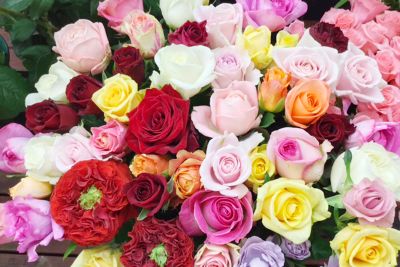 今月のお花『薔薇（バラ）』｜街の花屋「ガイア フラワーズ」