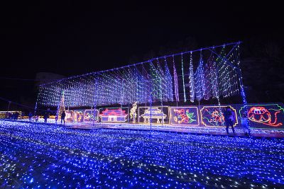 夜を彩る光の世界｜沖縄県内のイルミネーションスポット