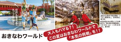 【2025夏休み企画】｜⑤ おきなわワールド｜大人もハマる⁉︎ この夏はおきなわワールドで｢本気の挑戦｣を‼