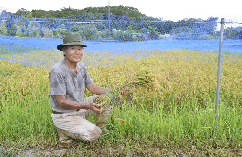 55歳で早期退職→2800坪の畑を購入 農薬や化学肥料使わない「自然栽培」で米を作る男性、モチベーションは［人生ブラボー！⑯］