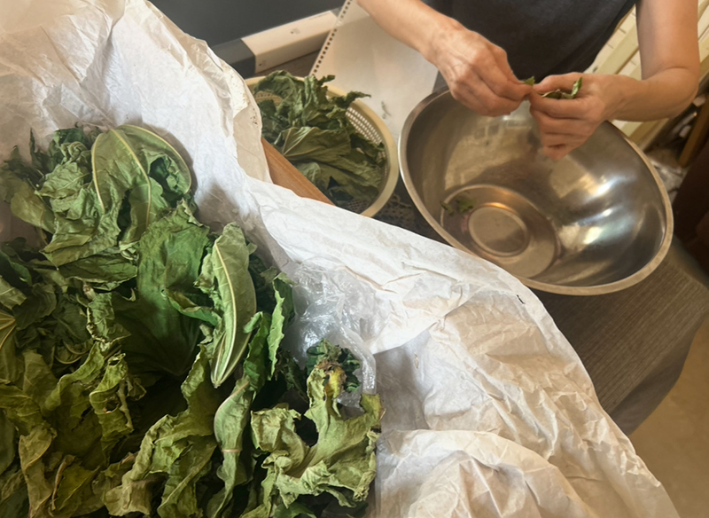 会食や飲酒が増える年末年始　沖縄のアーユルヴェーダ専門家が教える、健やかに過ごすコツ｜心も体も健康に 沖縄アーユルヴェーダ −114−